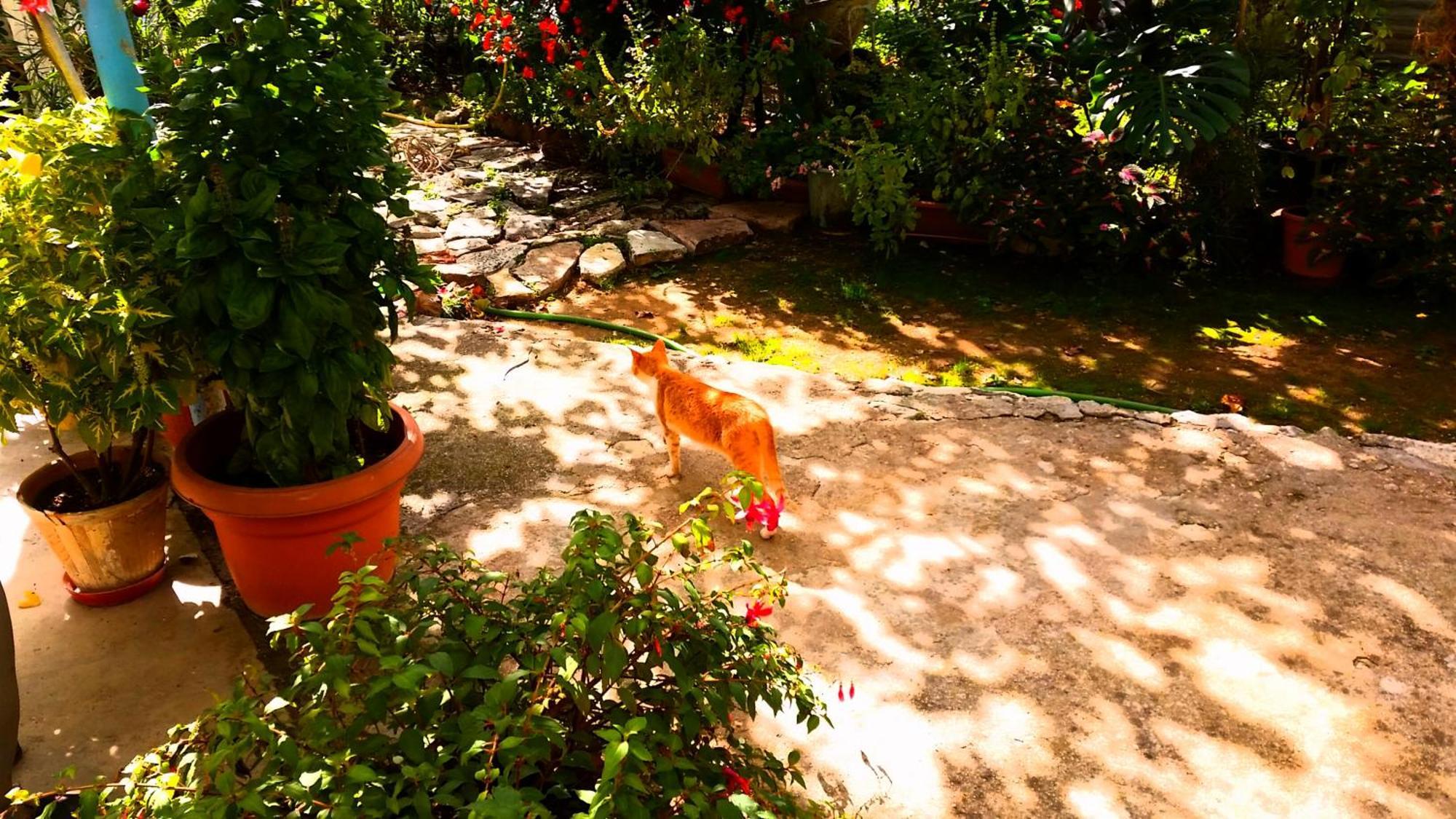 The Grandfather'S Room Himare Bagian luar foto