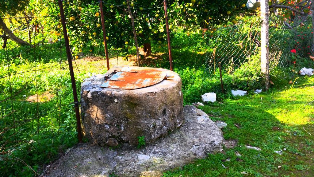 The Grandfather'S Room Himare Bagian luar foto